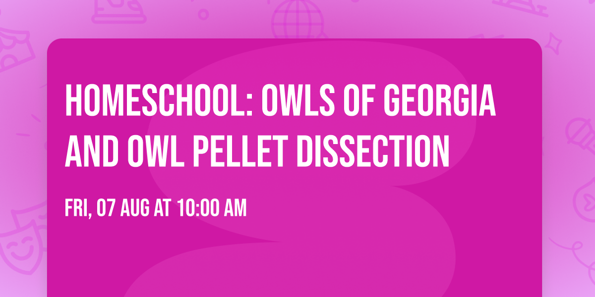 Homeschool: Owls of Georgia and Owl Pellet Dissection