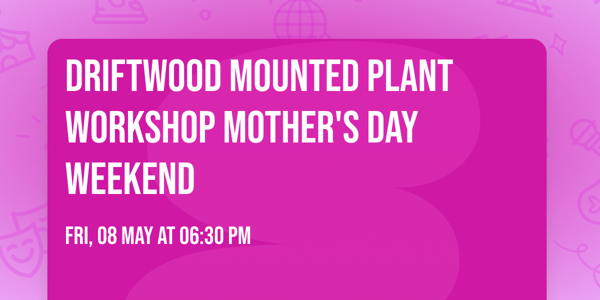 DRIFTWOOD MOUNTED PLANT WORKSHOP MOTHER'S DAY WEEKEND