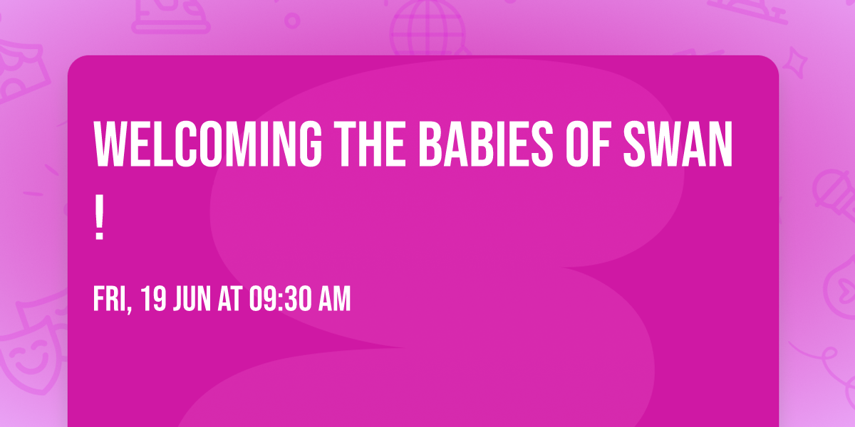 Welcoming the Babies of Swan!