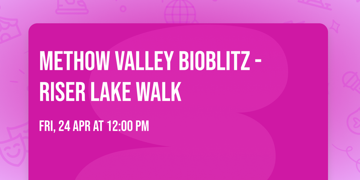 Methow Valley Bioblitz - Riser Lake Walk