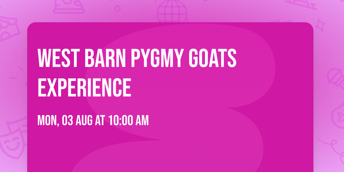  West barn Pygmy Goats Experience