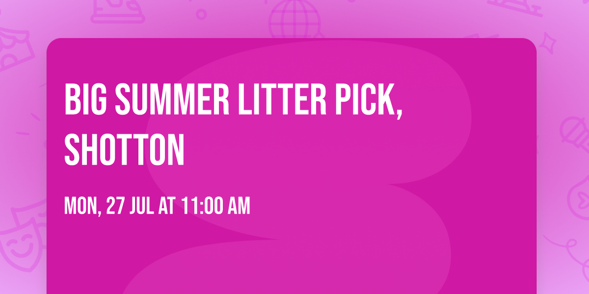 Big summer litter pick, Shotton