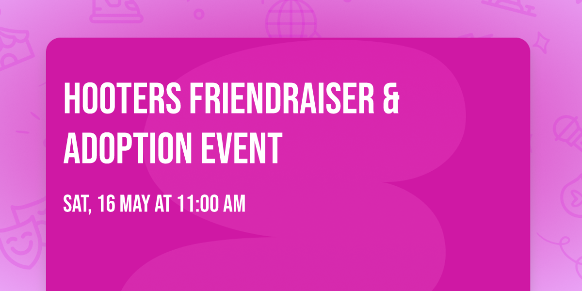 Hooters Friendraiser & Adoption Event