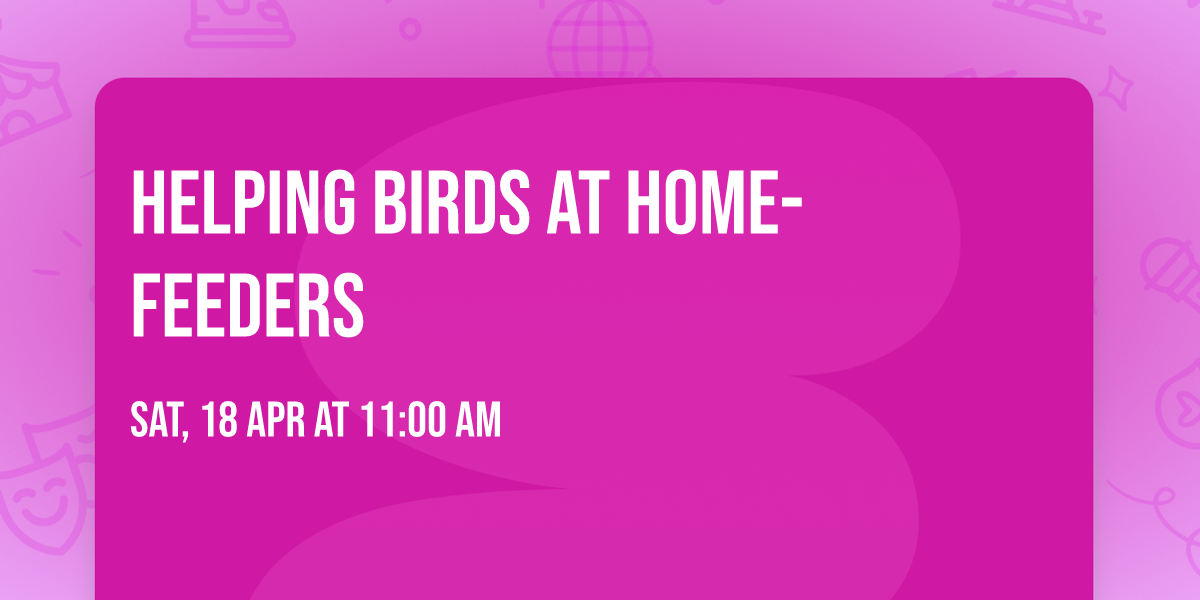 Helping Birds at Home- Feeders