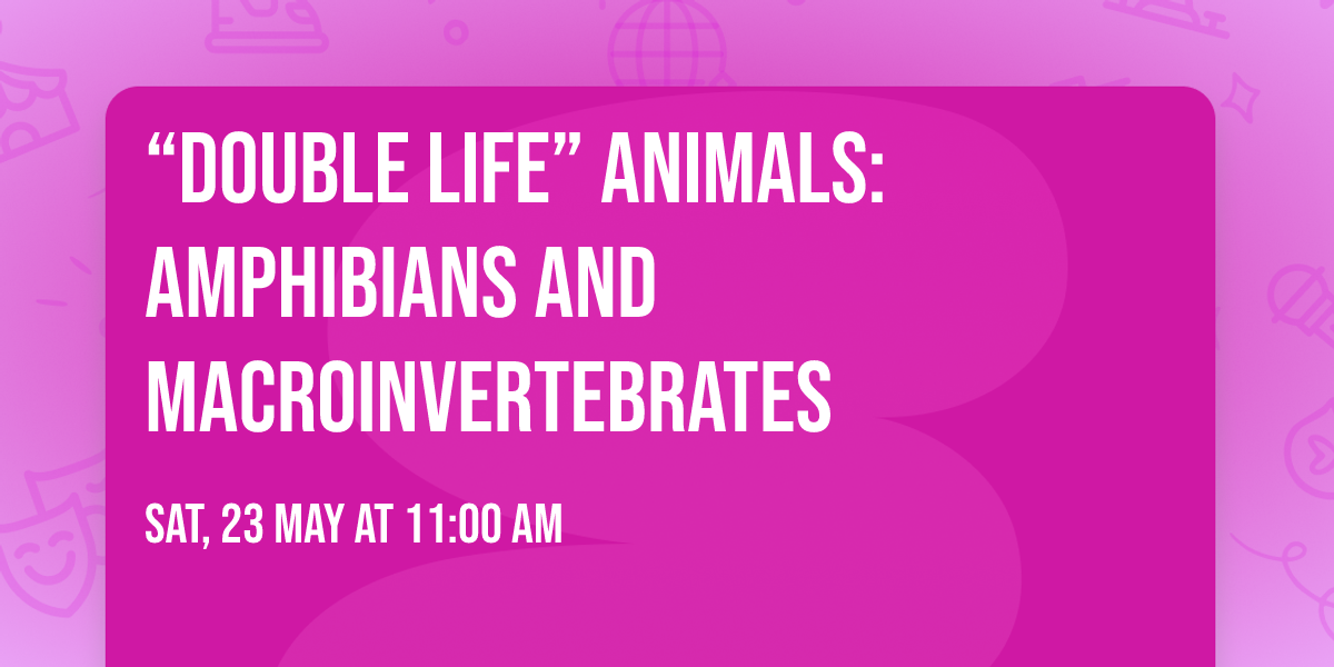 \u201cDouble Life\u201d Animals: Amphibians and Macroinvertebrates