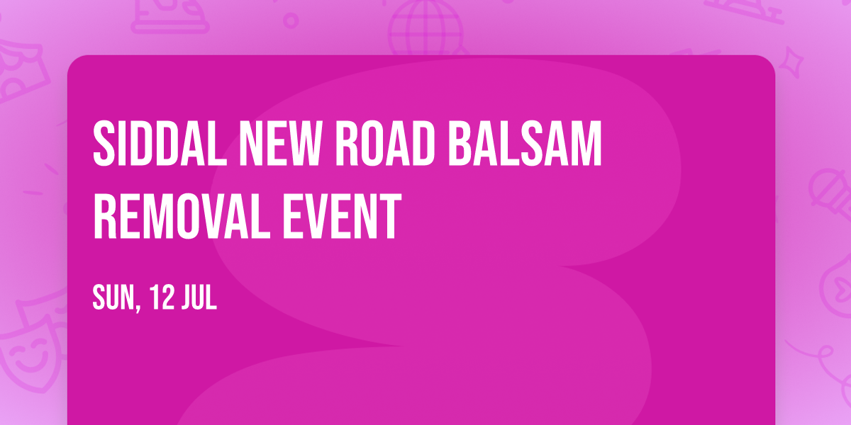 Siddal New Road Balsam Removal Event