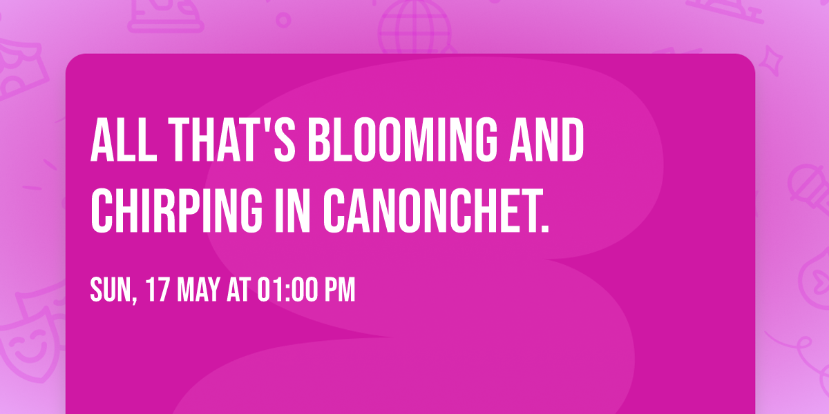 All that's blooming and chirping in Canonchet.