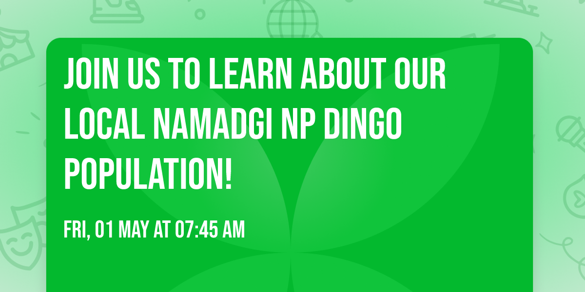 Join us to learn about our local Namadgi NP Dingo population!