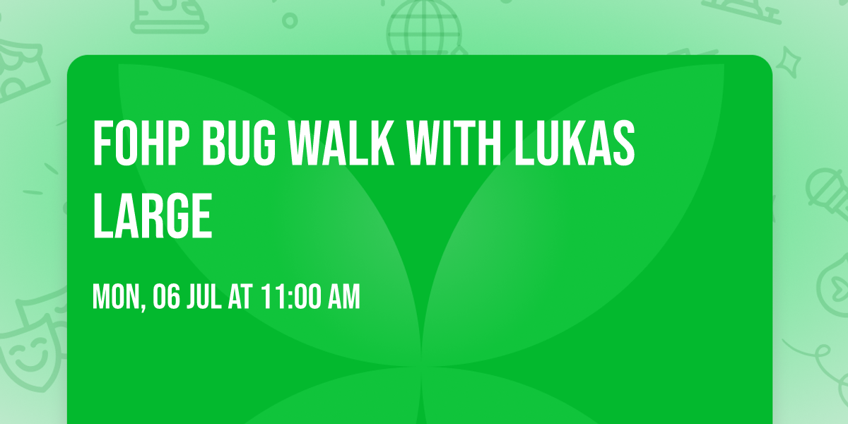 FoHP Bug Walk with Lukas Large 
