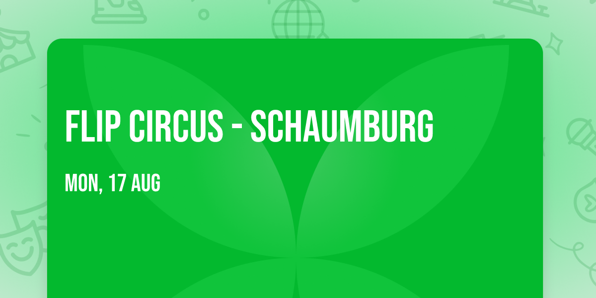 Flip Circus - Schaumburg