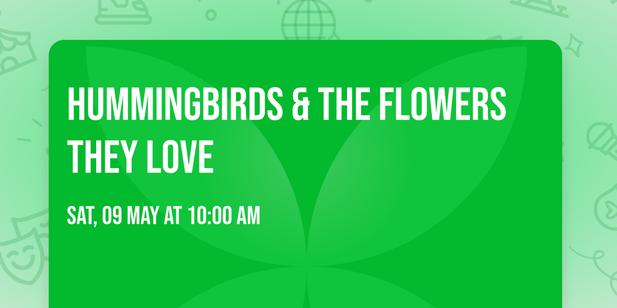 Hummingbirds & The Flowers They Love \ud83c\udf3a