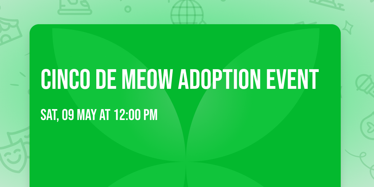 Cinco de Meow Adoption Event