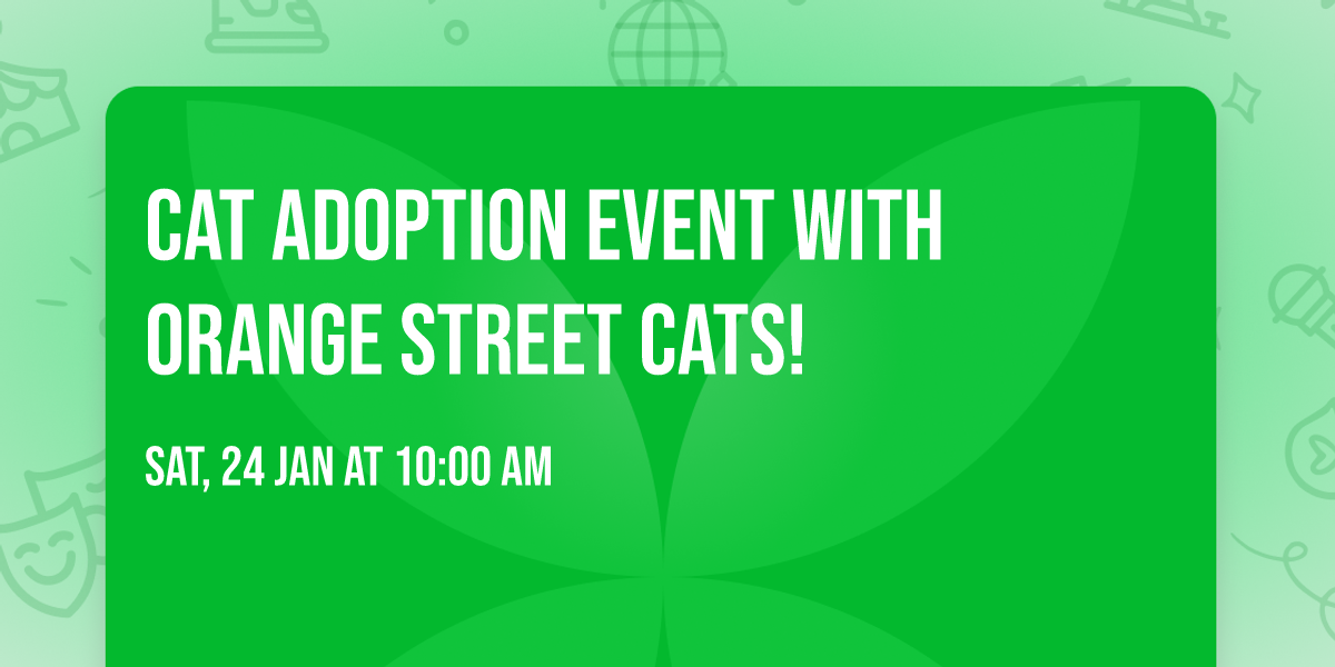 Cat Adoption Event with Orange Street Cats! 