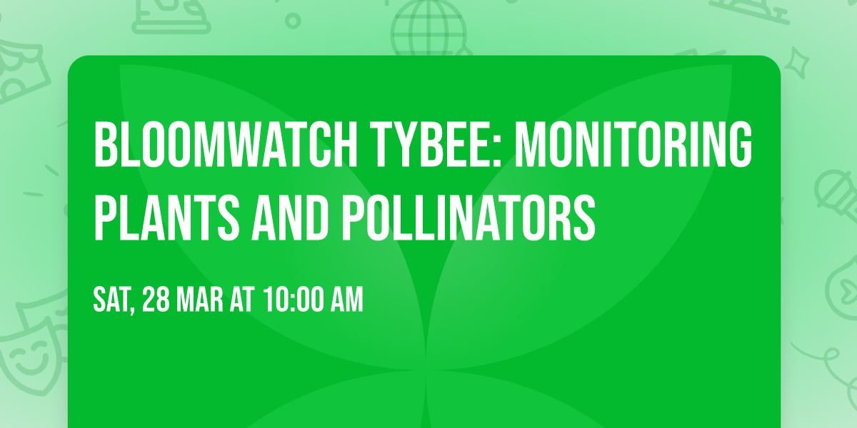 Bloomwatch Tybee: Monitoring Plants and Pollinators