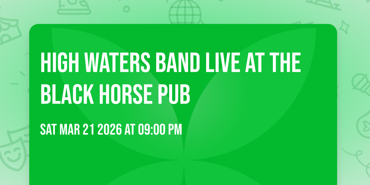 High Waters Band Live at The Black Horse Pub
