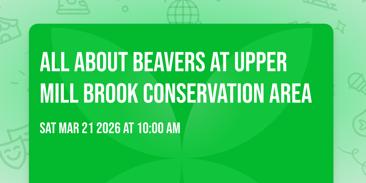 All About Beavers at Upper Mill Brook Conservation Area