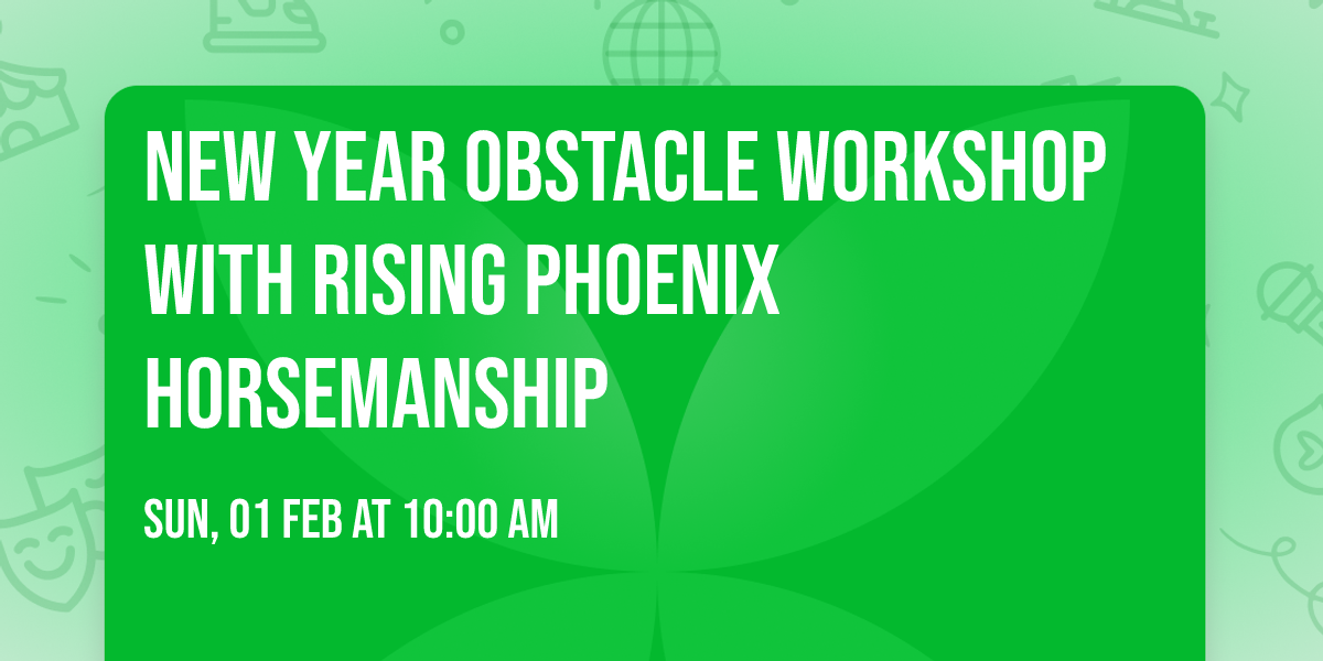 New Year Obstacle Workshop with Rising Phoenix Horsemanship