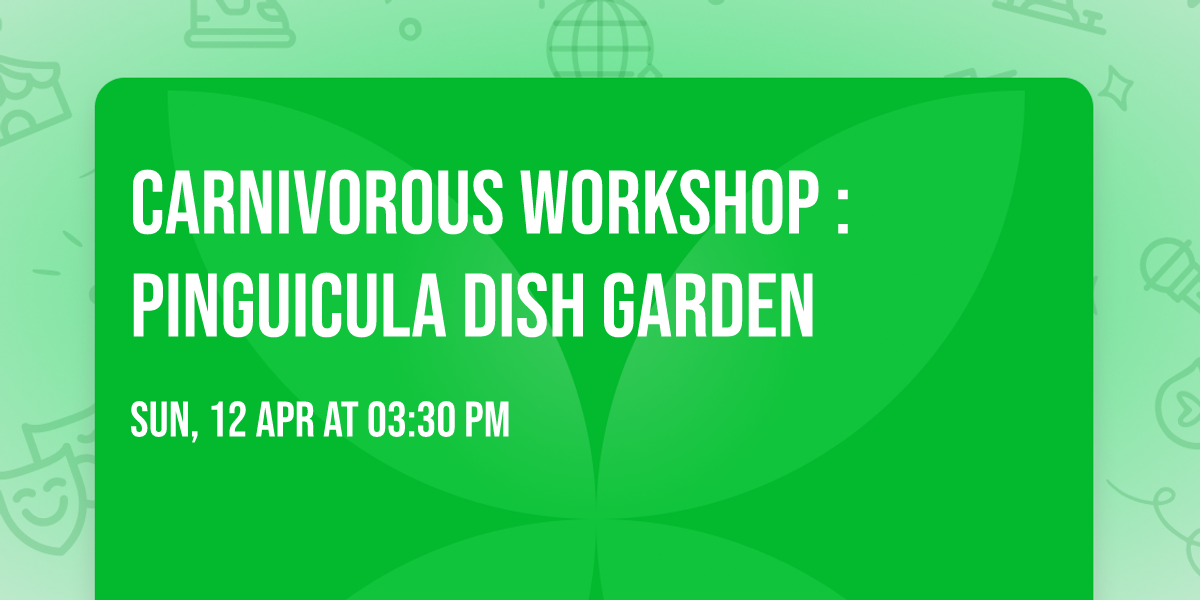 Carnivorous Workshop : Pinguicula Dish Garden