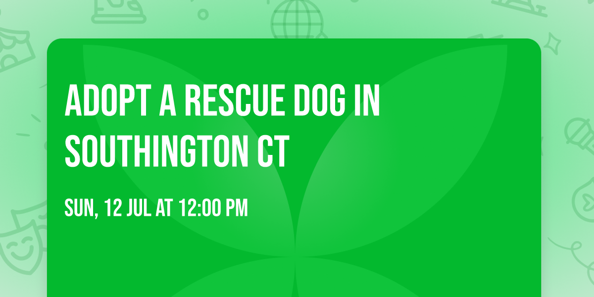 Adopt a Rescue Dog in Southington CT