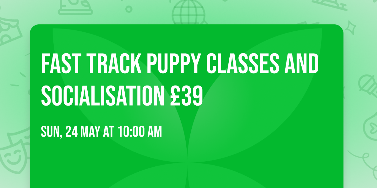 FAST TRACK Puppy Classes and Socialisation \u00a339