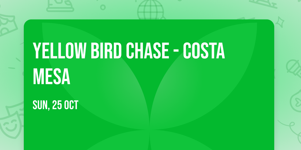 Yellow Bird Chase - Costa Mesa