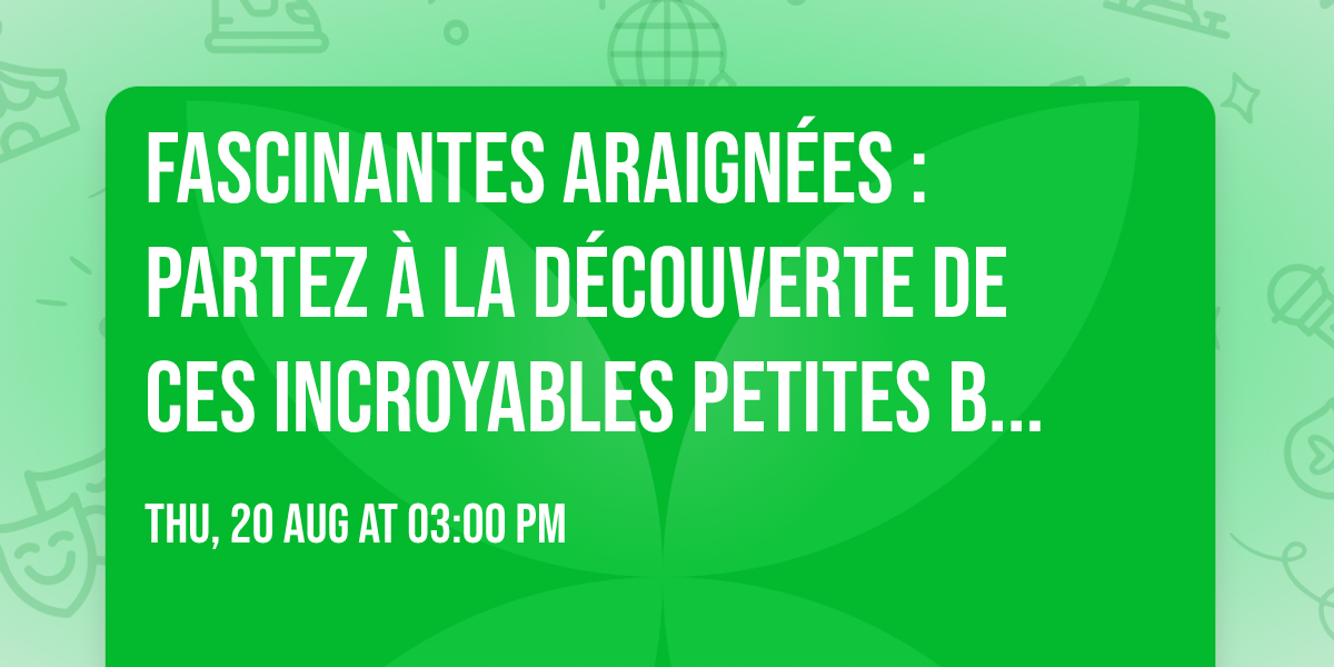 Fascinantes araign\u00e9es : partez \u00e0 la d\u00e9couverte de ces incroyables petites b\u00eates !