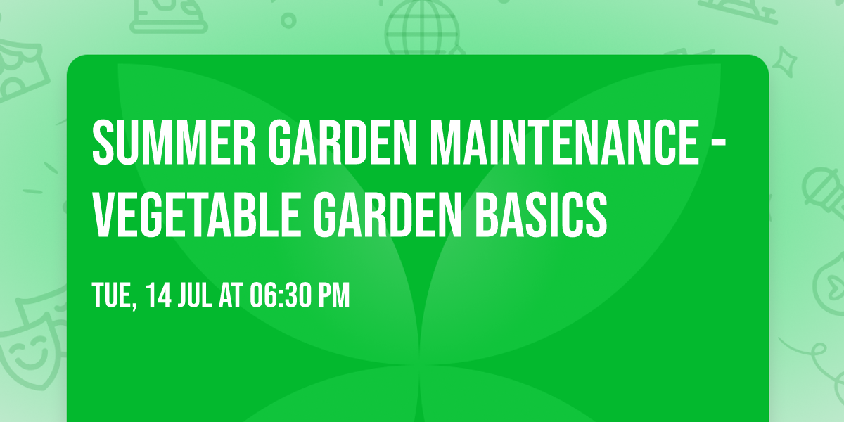 Summer Garden Maintenance - Vegetable Garden Basics