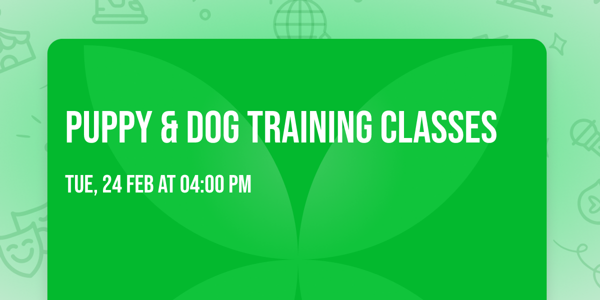 Puppy & Dog training classes 