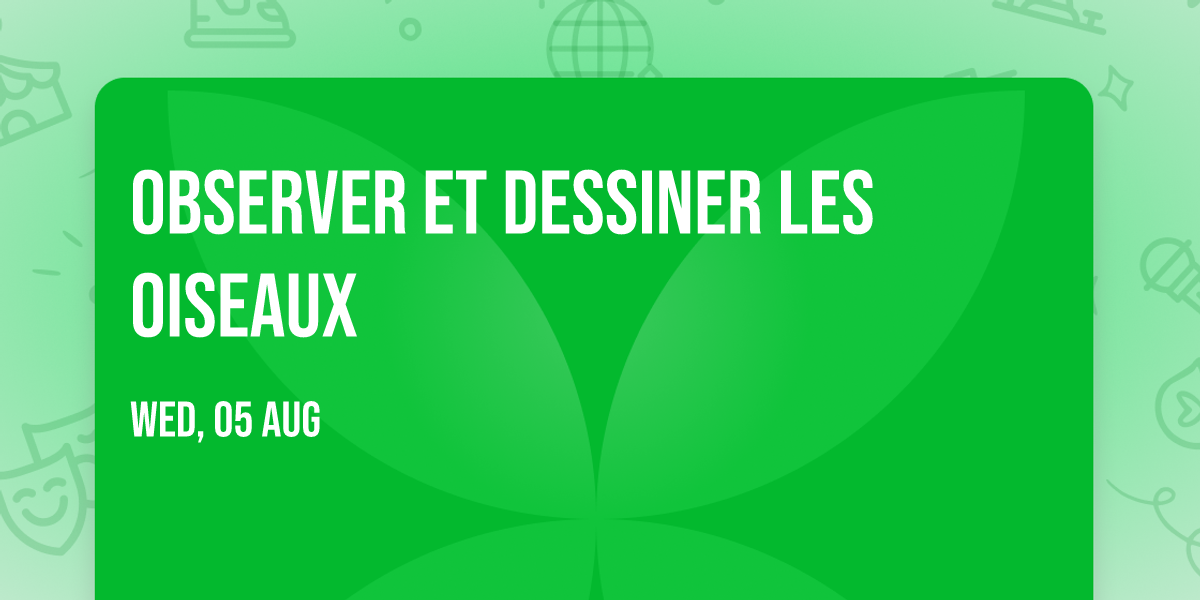Observer et dessiner les oiseaux