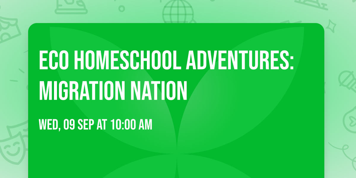 ECO Homeschool Adventures: Migration Nation