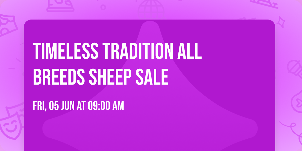 Timeless Tradition All Breeds Sheep Sale