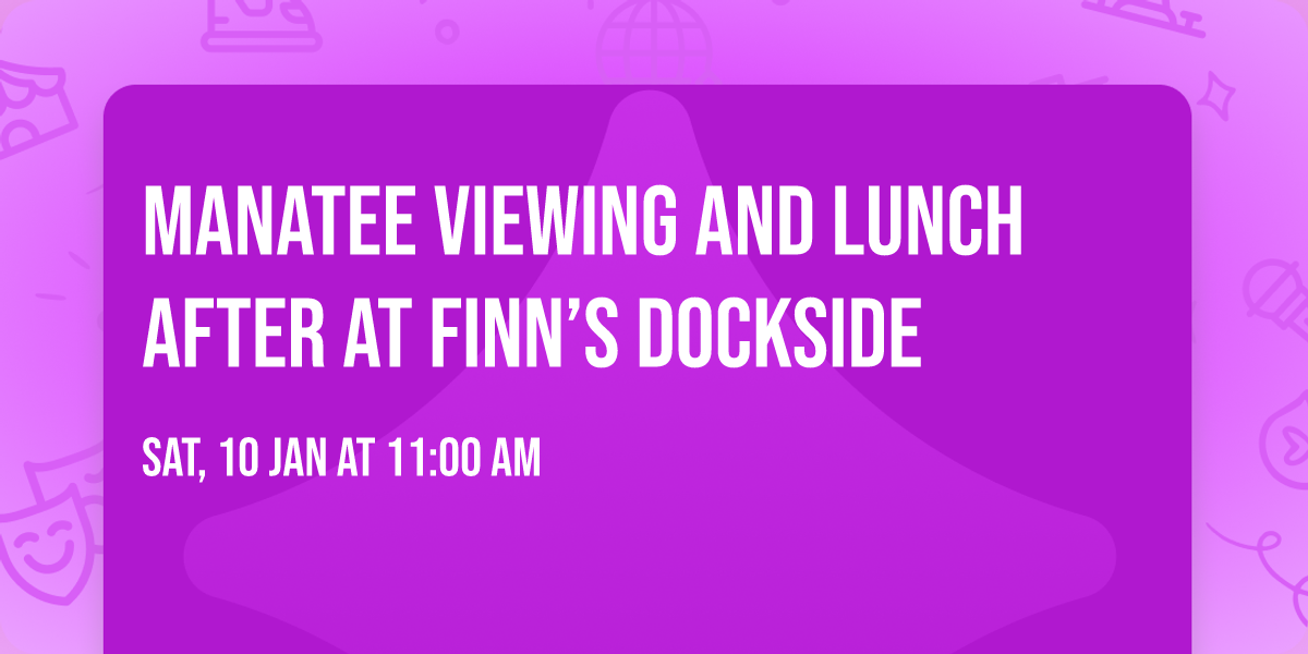 Manatee viewing and lunch after at Finn\u2019s dockside 