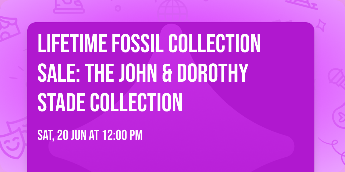 Lifetime Fossil Collection Sale: The John & Dorothy Stade collection