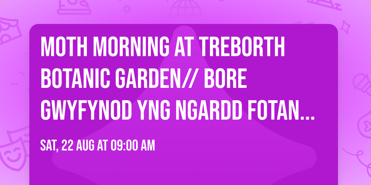 Moth Morning at Treborth Botanic Garden\/\/ Bore Gwyfynod yng Ngardd Fotaneg Treborth