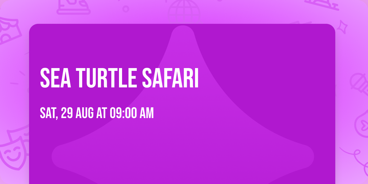 Sea Turtle Safari