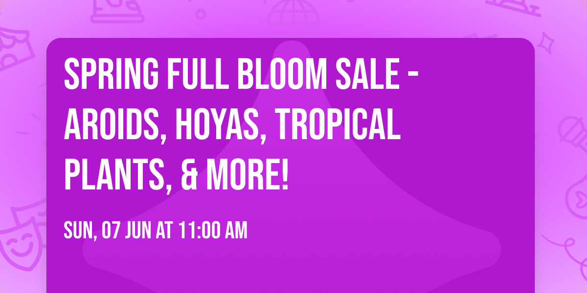 Spring Full Bloom Sale - Aroids, Hoyas, Tropical Plants, & More!