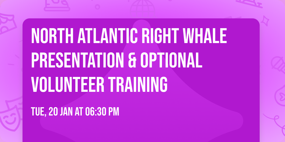 North Atlantic Right Whale Presentation & Optional Volunteer Training