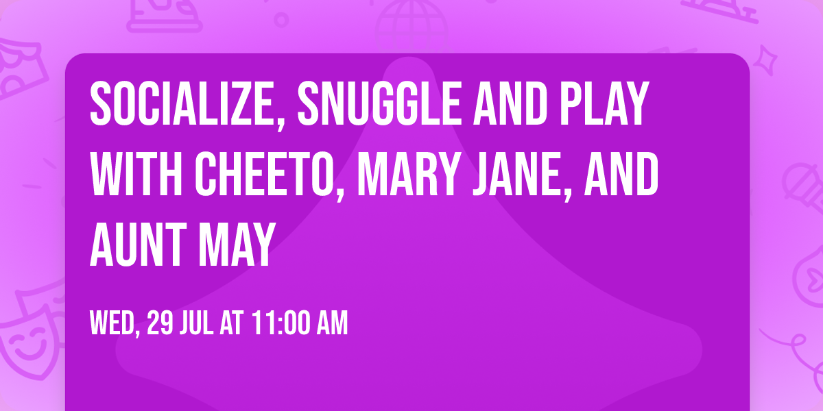 Socialize, snuggle and play with Cheeto, Mary Jane, and Aunt May