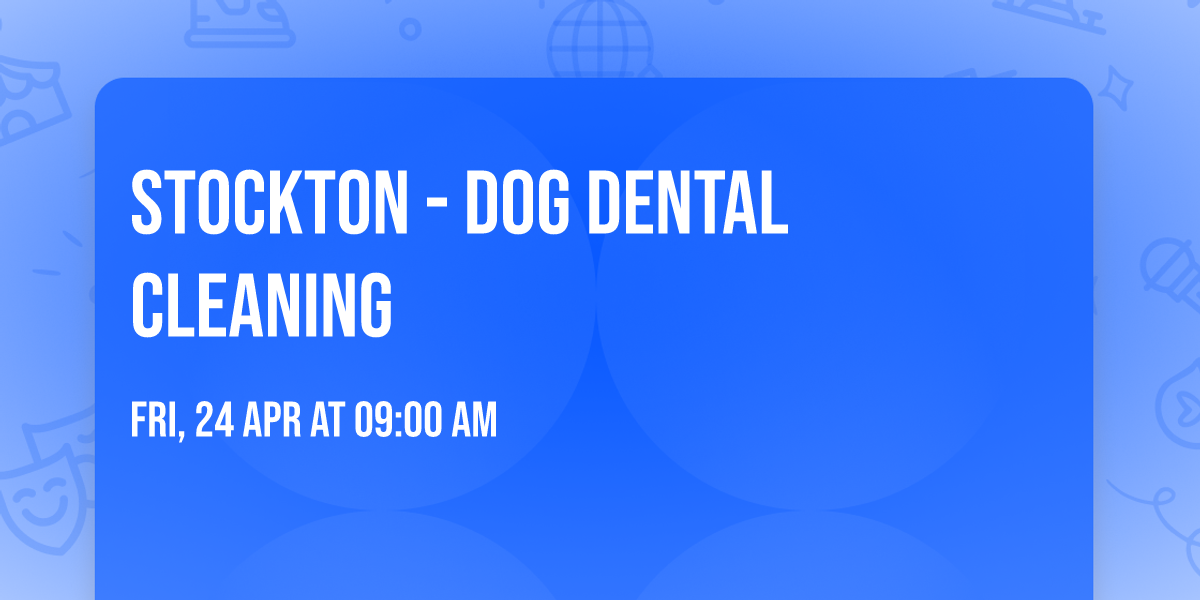 Stockton - Dog dental cleaning