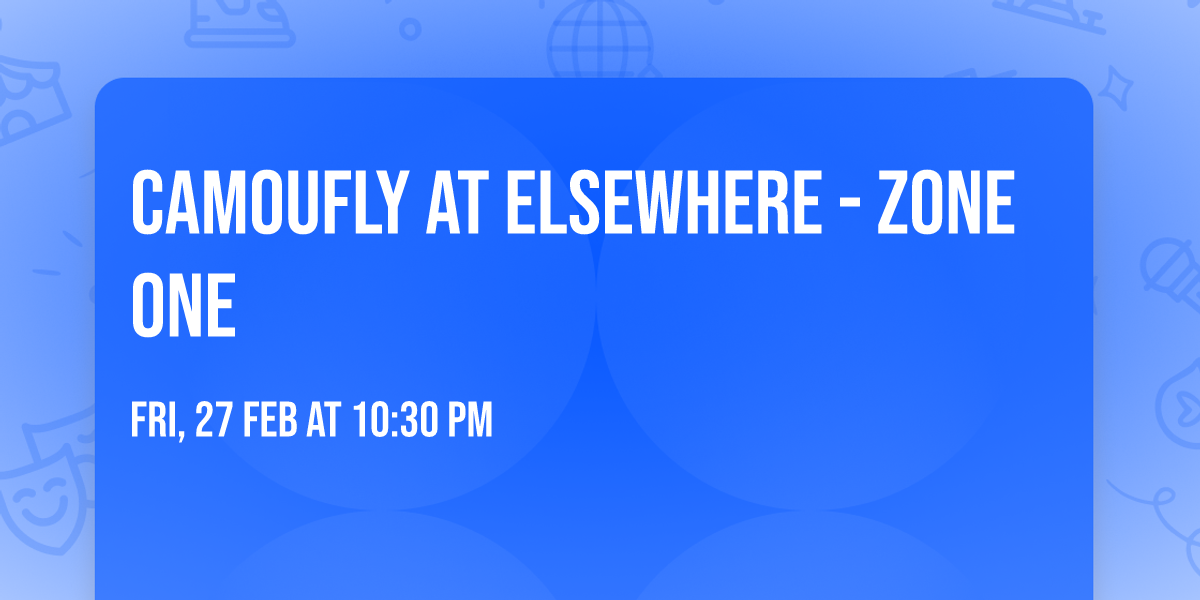 Camoufly at Elsewhere - Zone One