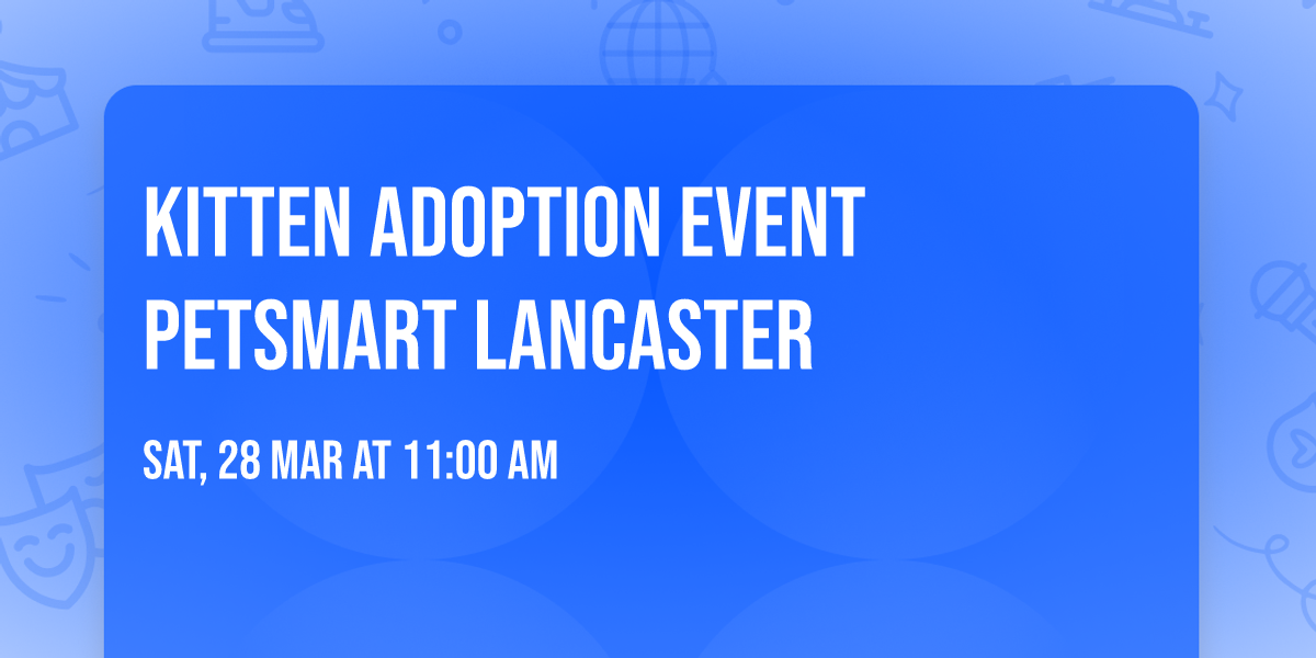 Kitten adoption event PetSmart Lancaster 