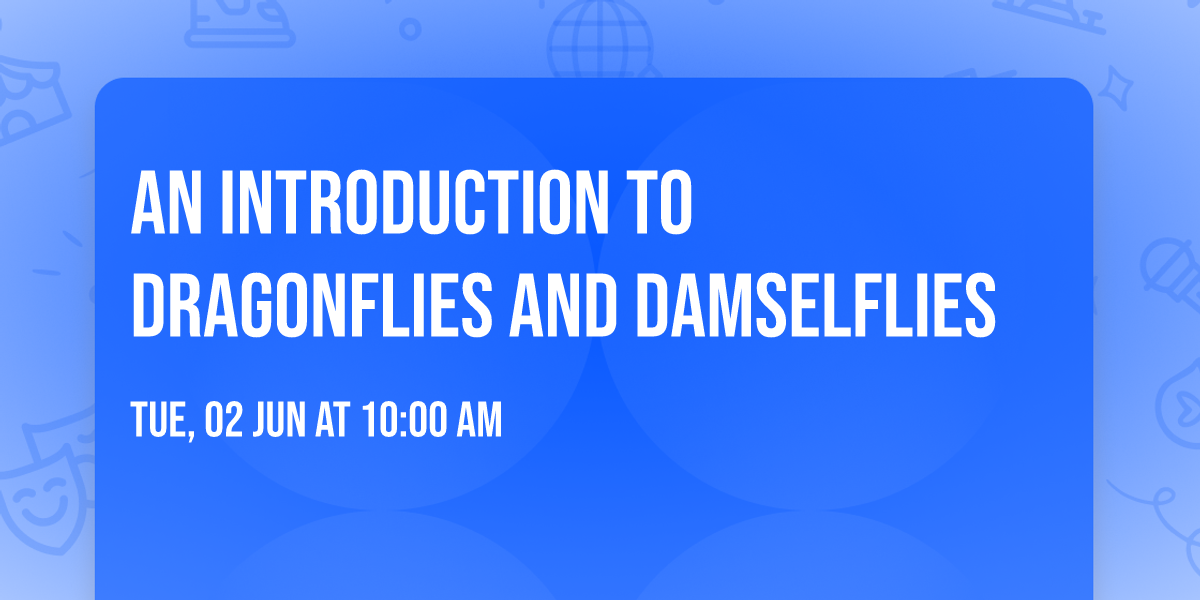 An introduction to dragonflies and damselflies