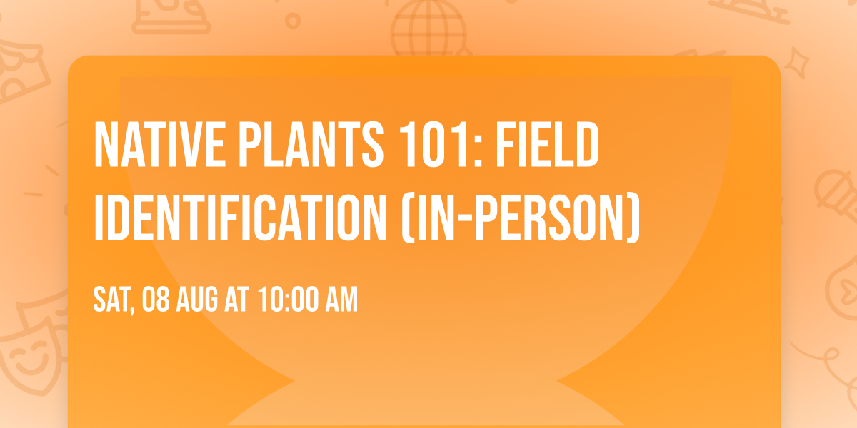  Native Plants 101: Field Identification (in-person)