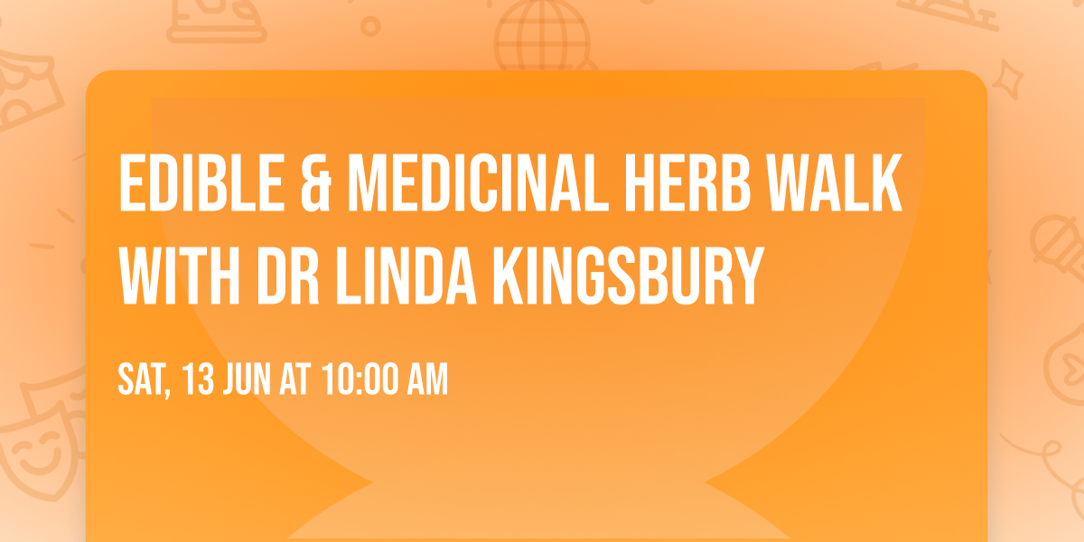 Edible & Medicinal Herb Walk with Dr Linda Kingsbury