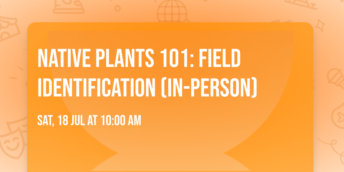  Native Plants 101: Field Identification (in-person)