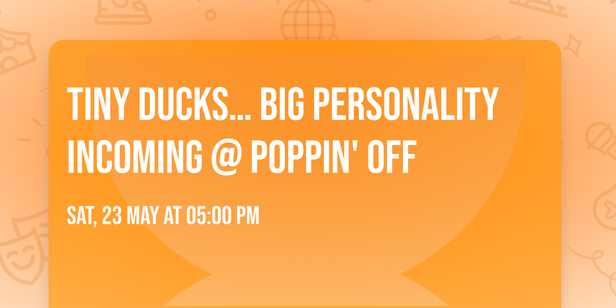 \ud83e\udd86\u2728 Tiny Ducks\u2026 BIG personality incoming @ Poppin' Off \u2728\ud83e\udd86