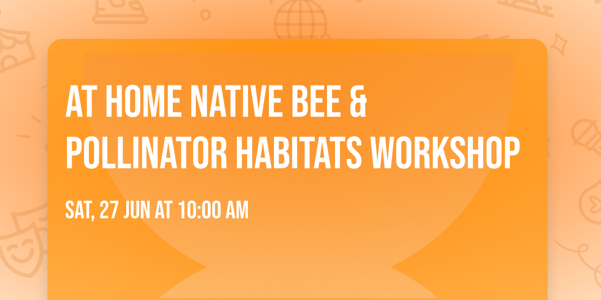 At Home Native Bee & Pollinator Habitats Workshop
