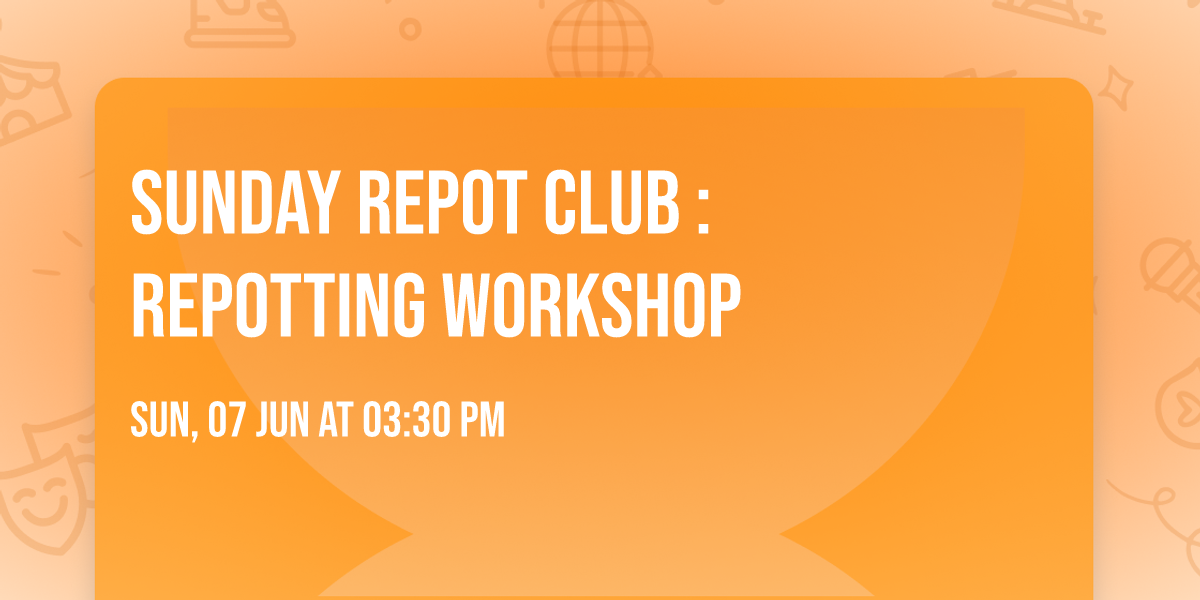 Sunday Repot Club : Repotting Workshop
