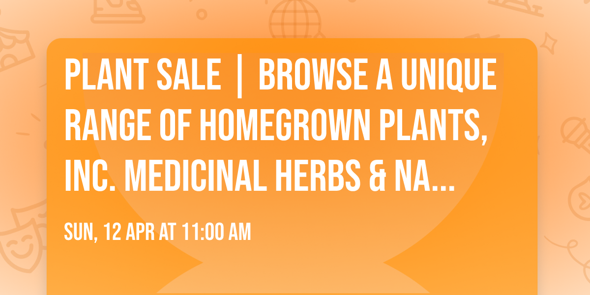 Plant Sale | Browse a unique range of homegrown plants, inc. medicinal herbs & native wildflowers