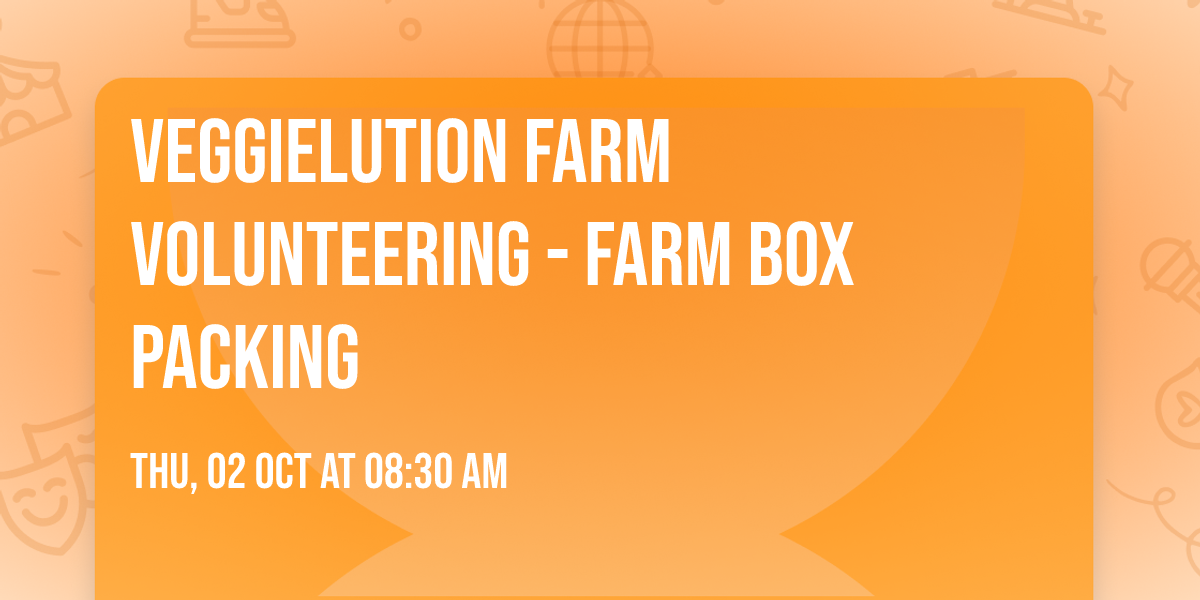Veggielution Farm Volunteering - Farm Box Packing